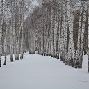 ���� ����, �������, 55 ��� - ��������� 11 �������� 2022 � ������ ���� ��������, ��� ��������...�