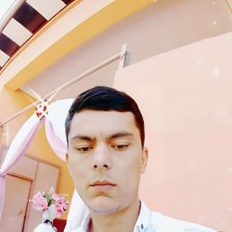 ���� ���, �����-���������, 33 ���� - ��������� 1 ������ 2023