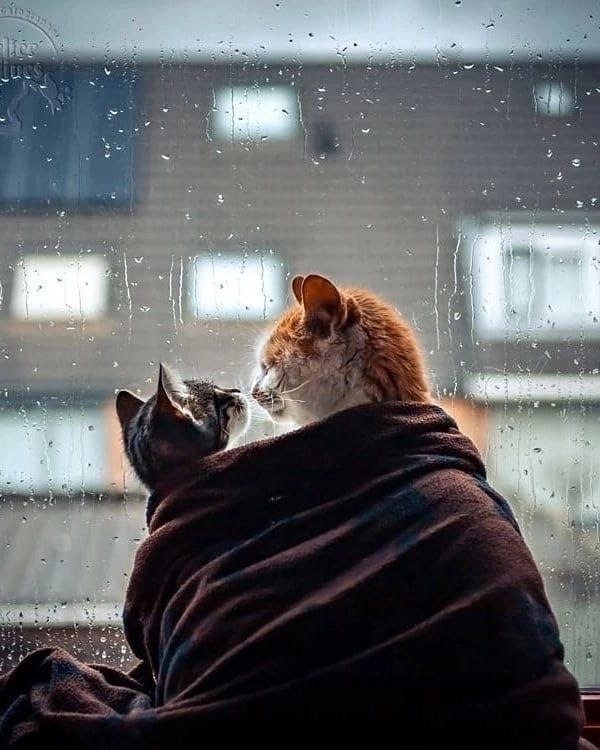    - 10  2022  07:01 - 2