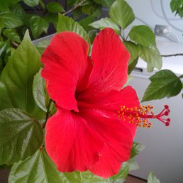 ���� ������, �����, 57 ��� - ��������� 5 ������� 2022