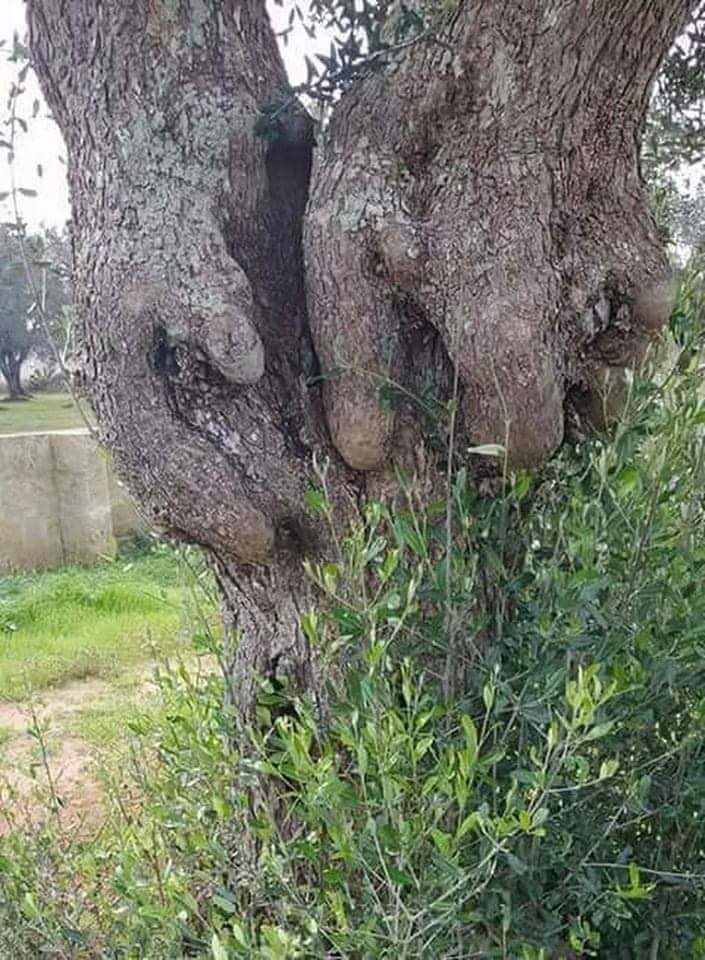 !