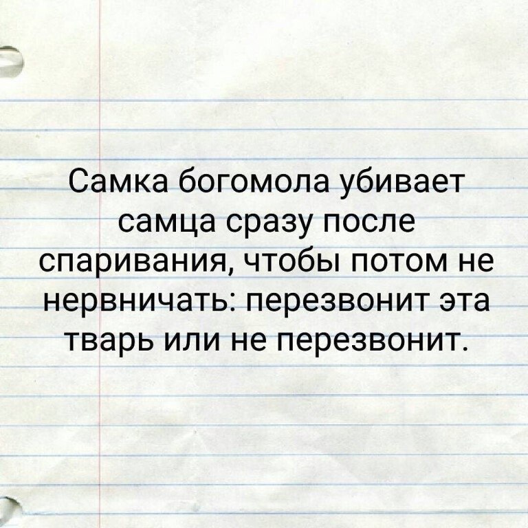 ☆ ☆ - 10  2022  00:26