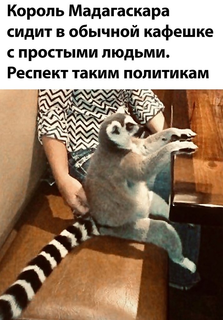 ☆ ☆ - 23  2022  11:09