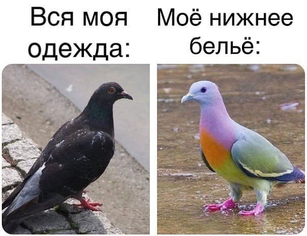 Иногда у меня возникает чувство, что за мной везде подглядывают