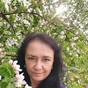  ,  , 52  -  25  2022    