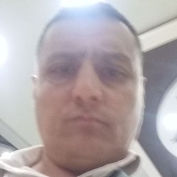 ., , 51 