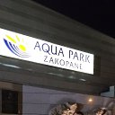 ���� Pv, ��������, 47 ��� - ��������� 8 ������� 2022 � ������ ���� ����������
