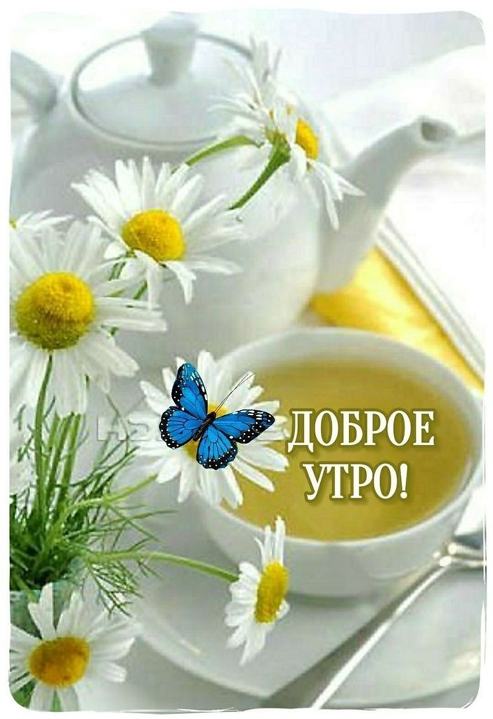   ,    . - 2  2022  21:09 - 3