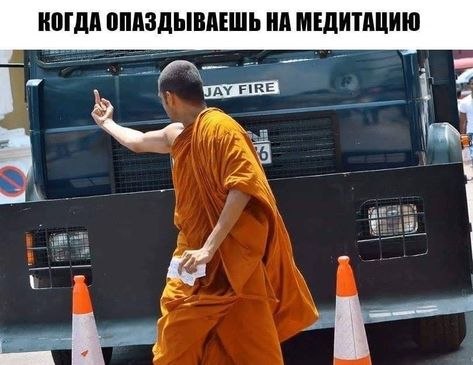   - 11  2022  04:51