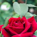 ���� ������, ������, 38 ��� - ��������� 8 �������� 2022 � ������ ���� ����������