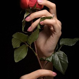 �����, ����, 53 ����