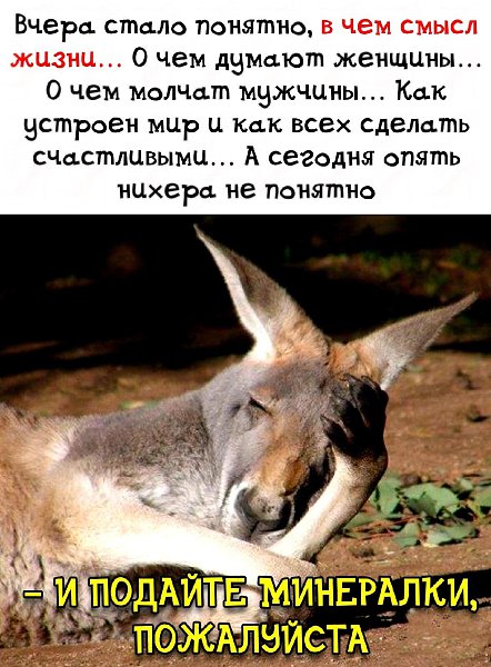***Victoria Viktorovna*** - 20  2022  11:35