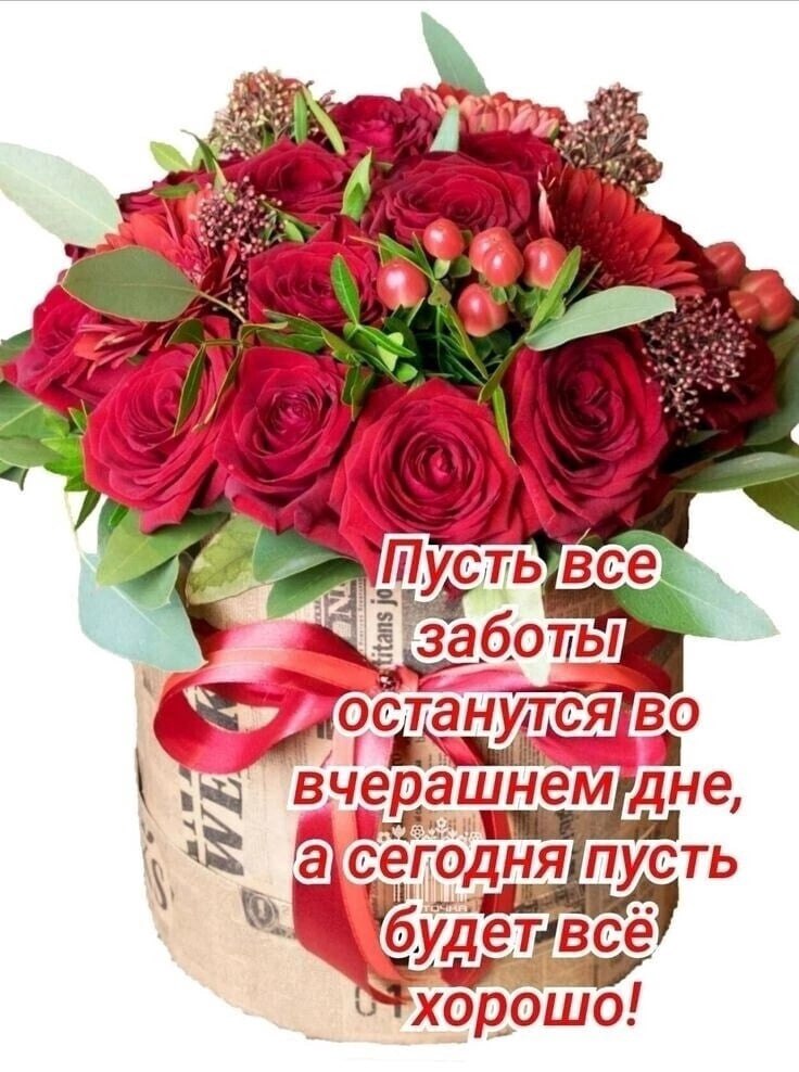   ,    . - 3  2022  14:31