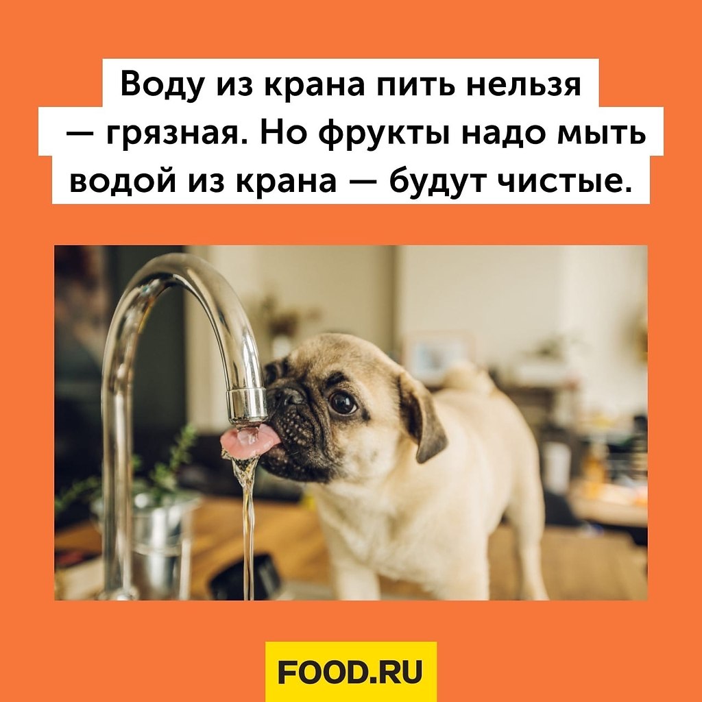 Bon Appetit |   - 7  2022  08:03