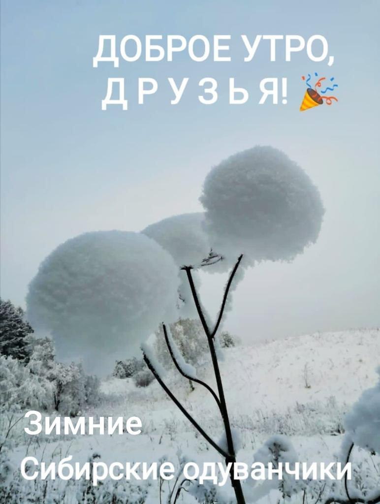 ***Victoria Viktorovna*** - 20  2022  07:48