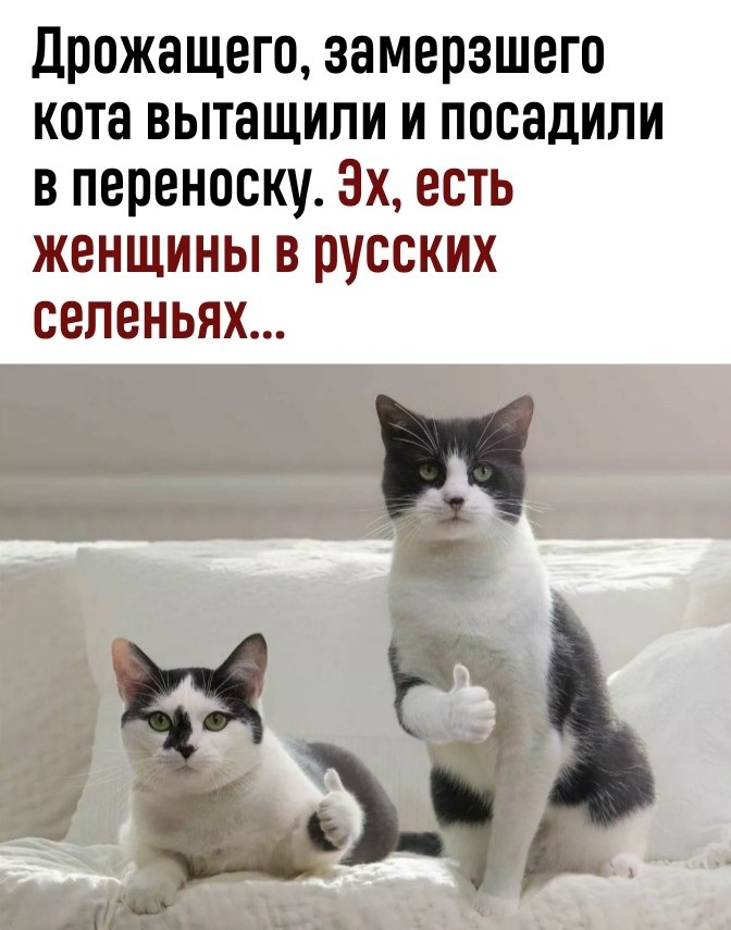   - 3