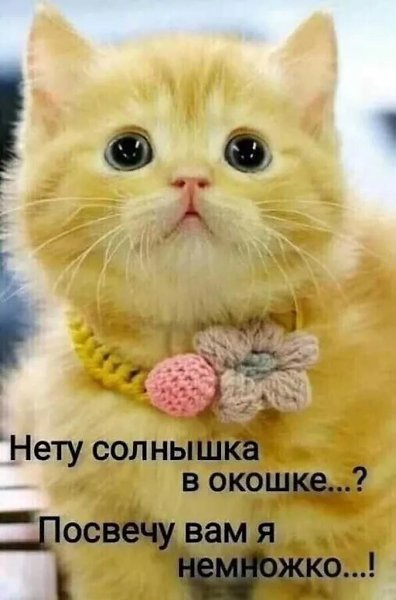   - 8  2022  17:50