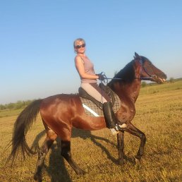 , 41 , 