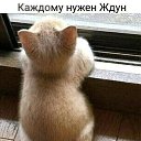 ���� �������, ������, 55 ��� - ��������� 16 ��� 2022