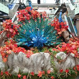 ���� �������, ���������, 44 ���� - ��������� 2 ������� 2022