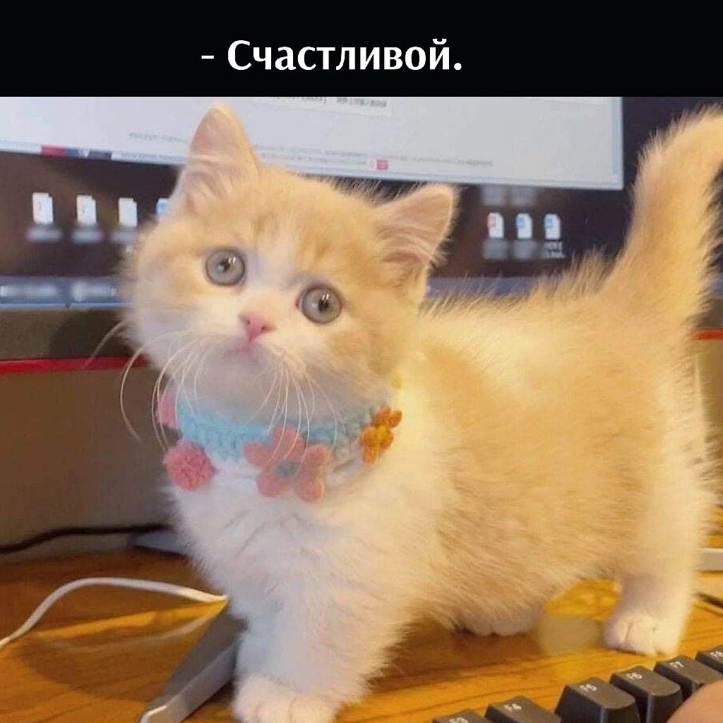       - 27  2022  11:32 - 2