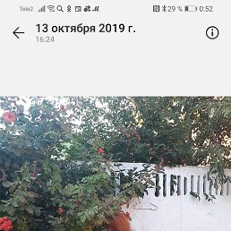  , , 48  -  12  2022