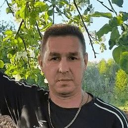 , , 51 