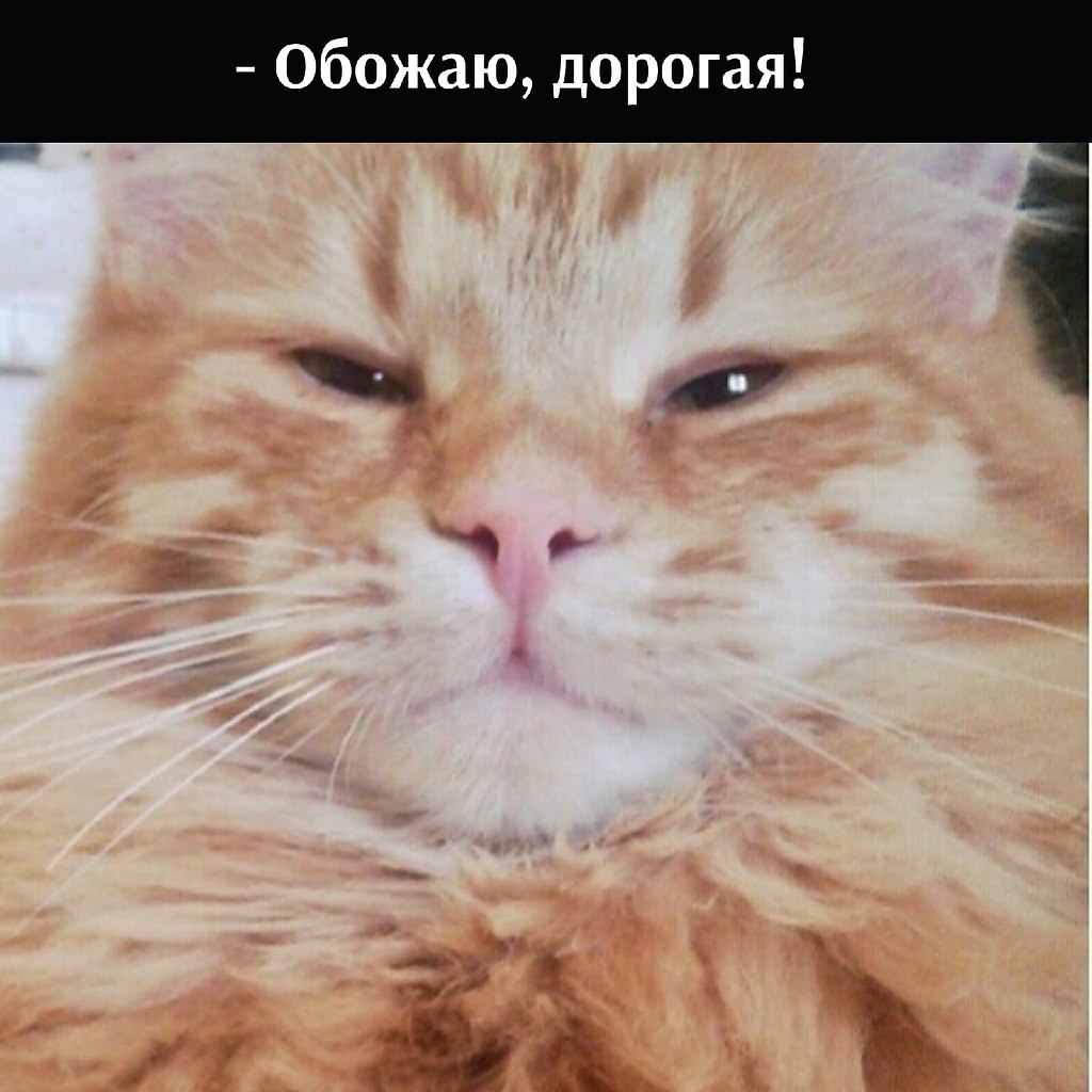       - 27  2022  16:04 - 2