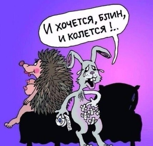 НАШ ОТВЕТ BDSM, ИЛИ... ОБЩЕСТВО ЗАЩИТЫ ЖИВОТНЫХ... Я думал, это анекдот, ан нет. Приятель ...