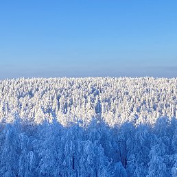 ���� �������, �����, 25 ��� - ��������� 10 ����� 2022