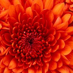 ���������, ����, 22 ����