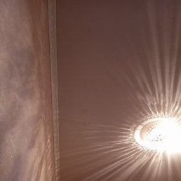 �����, ������, 39 ���