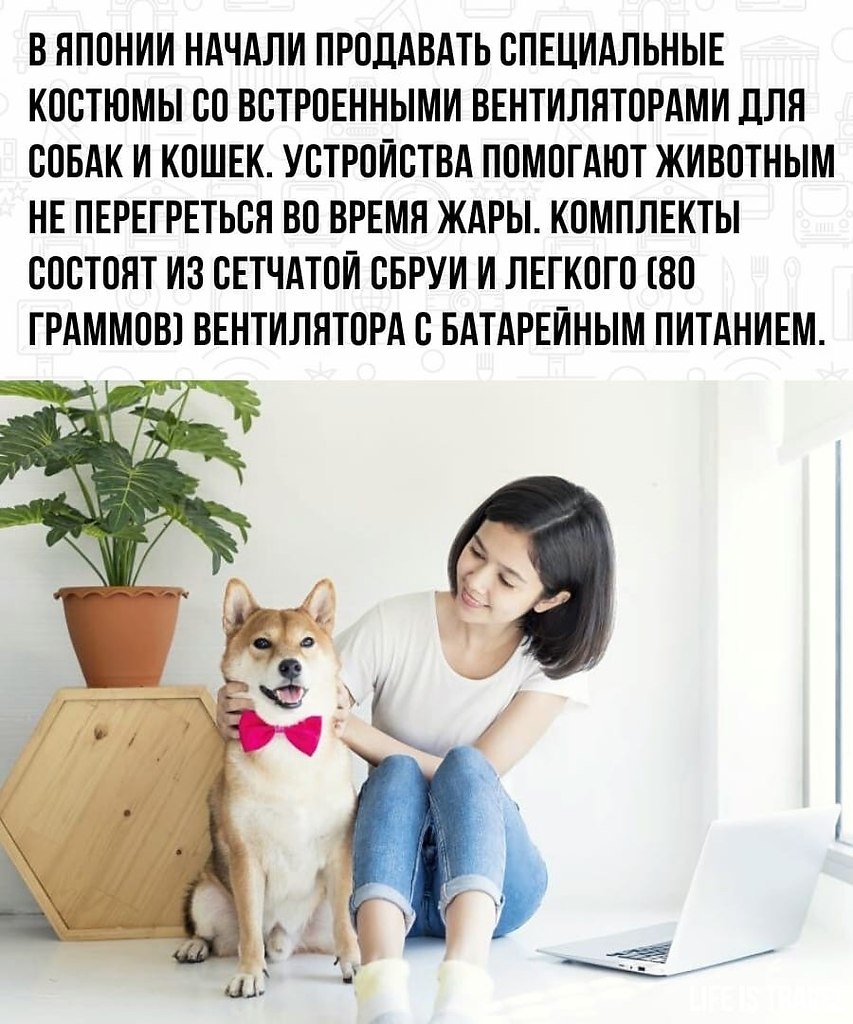 LIFE -  - 5  2022  23:38 - 2