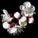 ���� ���������, ������, 50 ��� - ��������� 12 ������ 2023