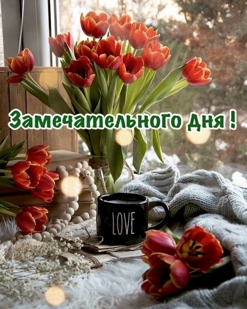    ...    -    ,       ...