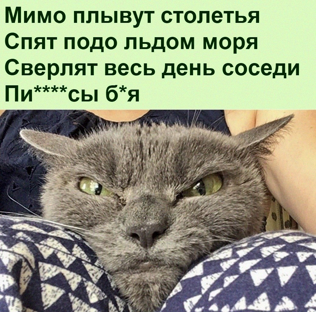 ������ ��������� :D - 21 ������� 2022 � 08:34