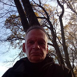 ���� ����, ������, 53 ���� - ��������� 8 ������ 2023