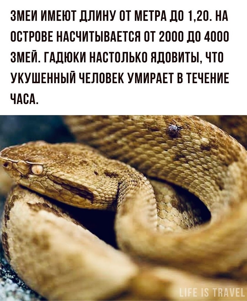 LIFE -  - 8  2022  13:31 - 3