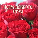  , , 58  -  5  2022