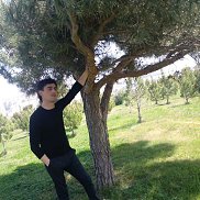 , 26 , 