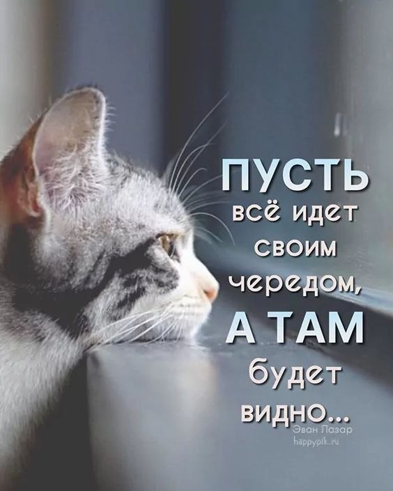   - 23  2022  07:00