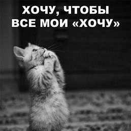 ���� ����, �����, 51 ��� - ��������� 15 ������ 2022