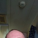 ���� ������, ��������, 66 ��� - ��������� 1 ������ 2022 � ������ ���� ����������