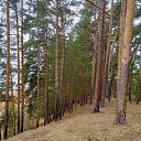 ���� �������, ������������, 75 ��� - ��������� 25 ������ 2022