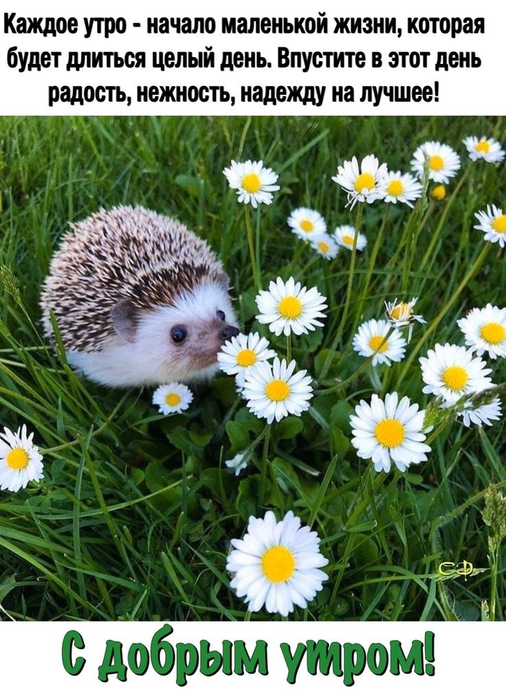   ,    . - 21  2022  23:10 - 7