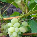 ���� �����, ��������, 57 ��� - ��������� 30 ��� 2022