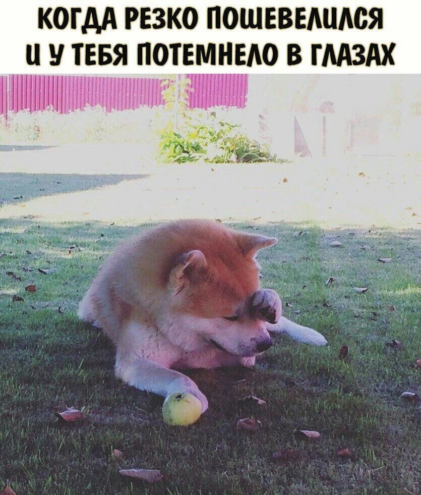    - 10  2022  06:18