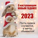 ���� ���������, ������, 48 ��� - ��������� 9 ������� 2023 � ������ ���� ����������