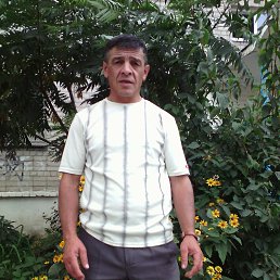 ���� ������, ��������, 59 ��� - ��������� 12 ������� 2022