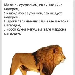 ���� �����, �����-���������, 35 ��� - ��������� 4 ������� 2022